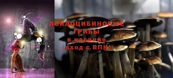 каннабис Беломорск