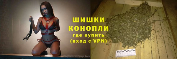стаф Белокуриха