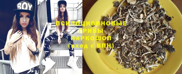 стаф Белокуриха