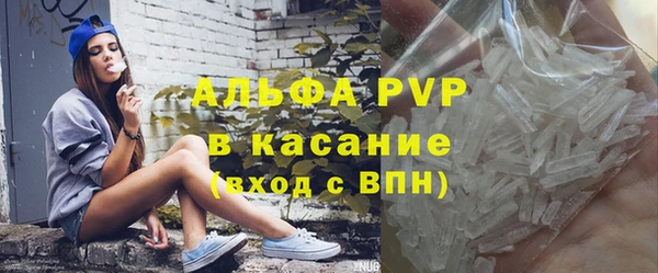 стаф Белокуриха