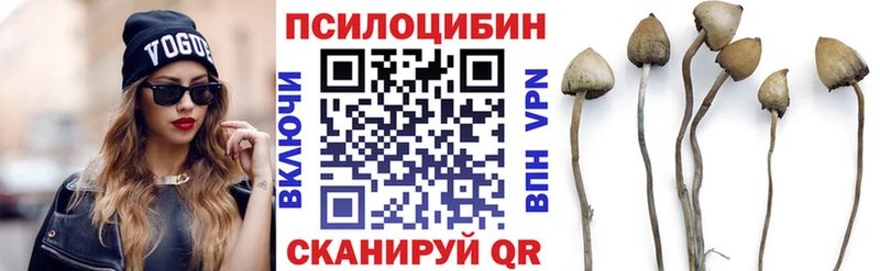 Галлюциногенные грибы Psilocybine cubensis  где купить наркотик  Афипский 