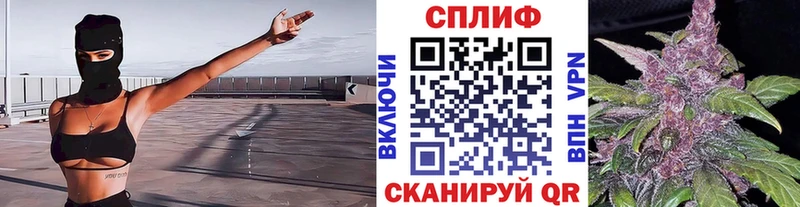 Канабис конопля  Афипский 